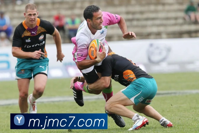 多媒体互动体验